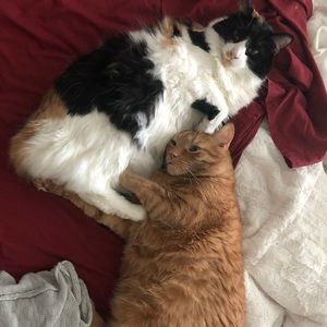 Meet your Posher, Ryan